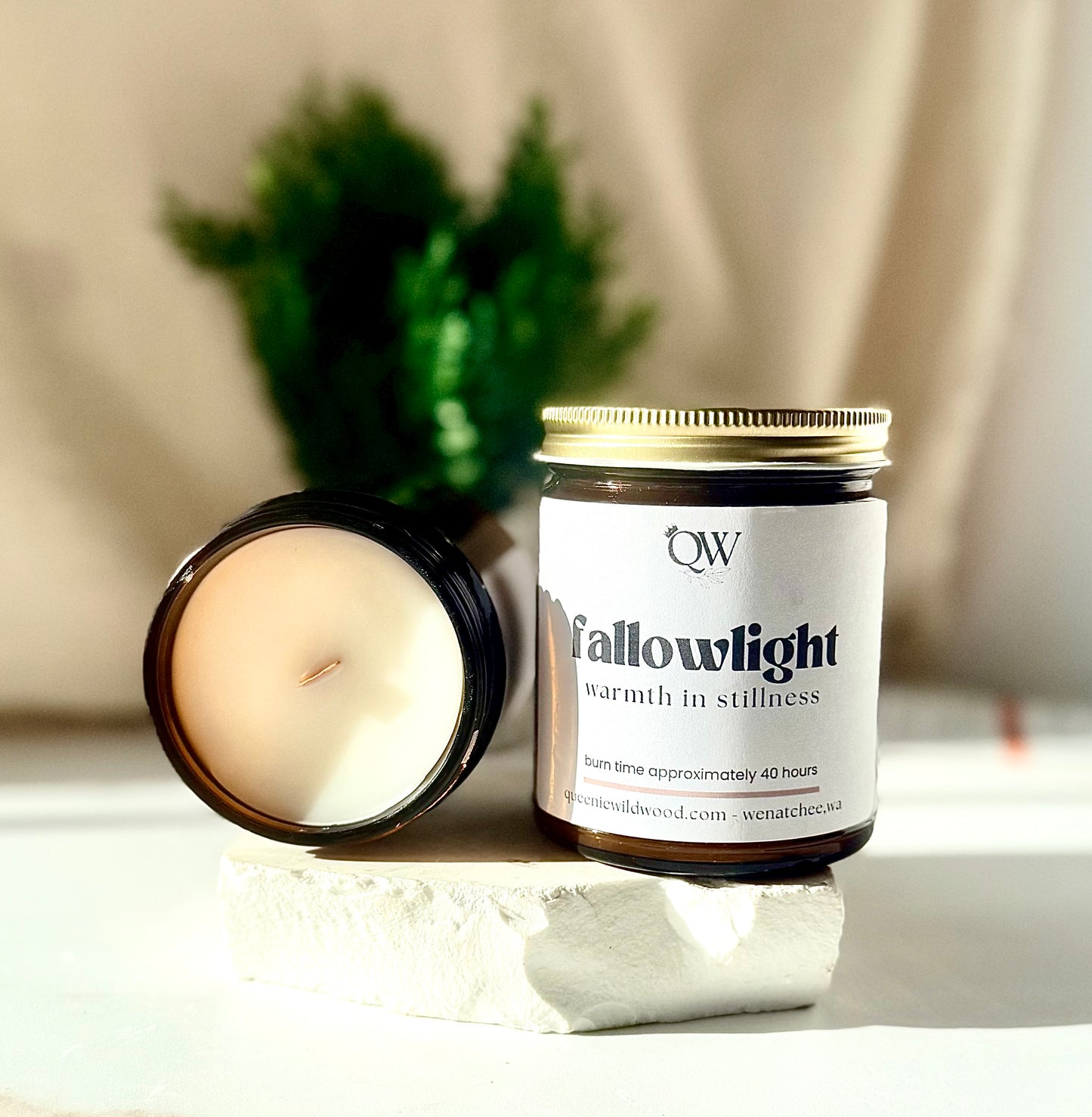 fallowlight
